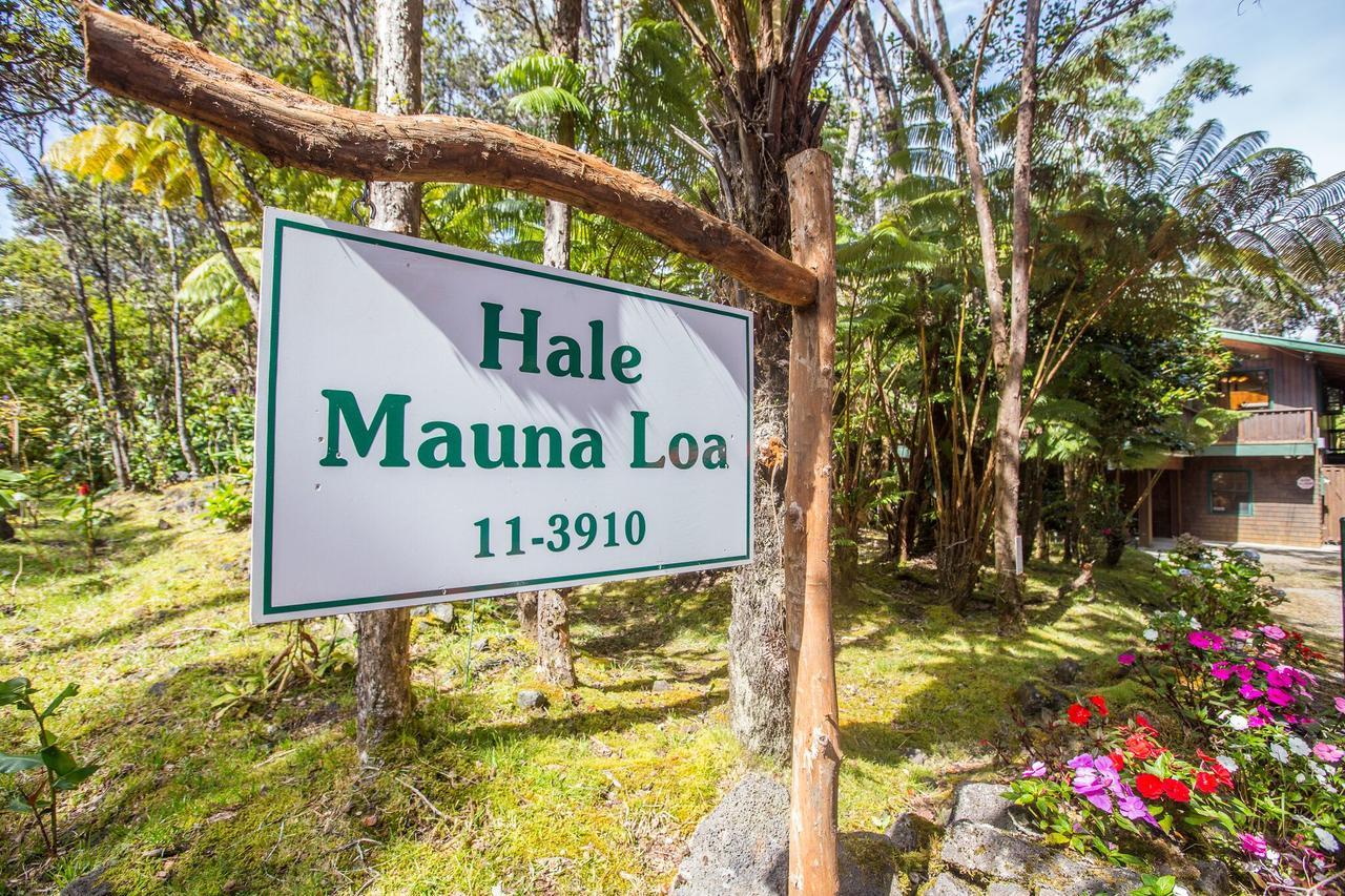 Hale Mauna Loa Upper Level With Shared Hot Tub Волкано Экстерьер фото
